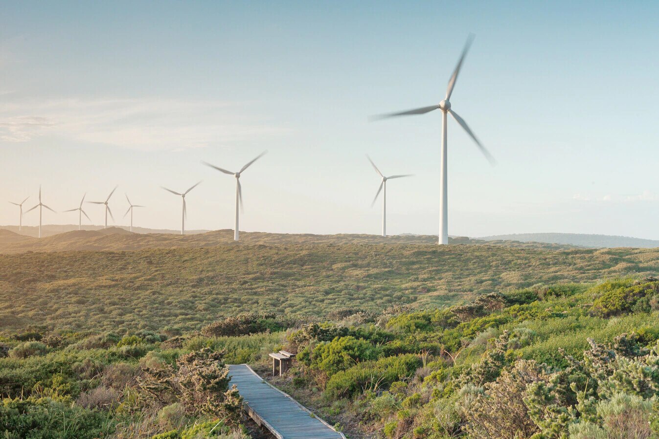 Sustainability