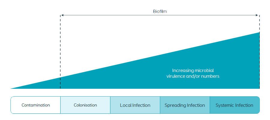 Wound Infection Continuum