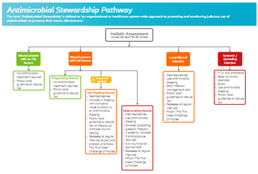 Antimicrobial Stewardship Pathway