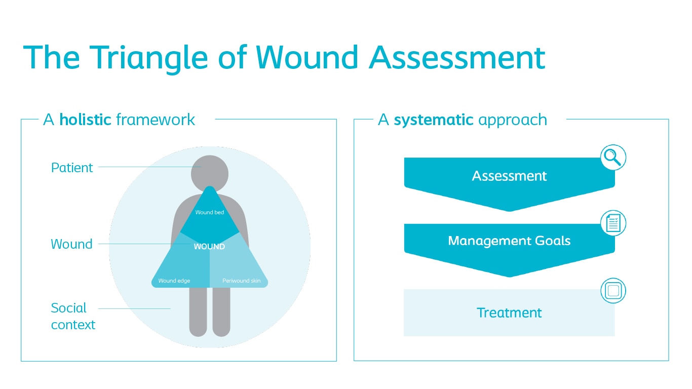 Triangle of wound assessment