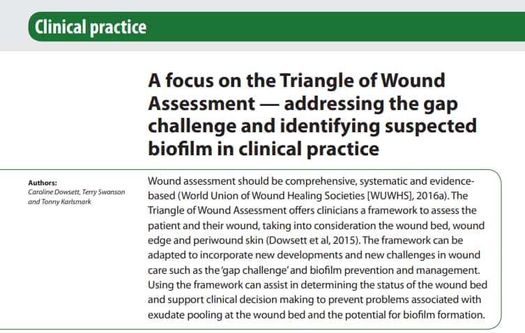 Clinical practice: A focus on the Triangle of Wound Assessment